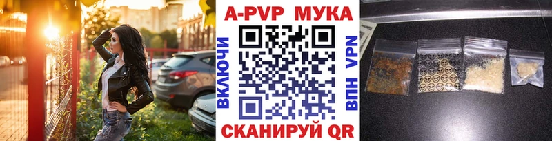 A PVP СК Жиздра
