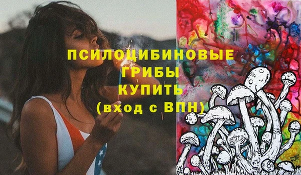 PSILOCYBIN Алзамай