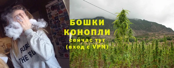 PSILOCYBIN Алзамай